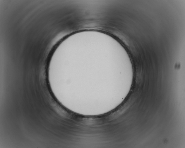 X0000101661458200808071010