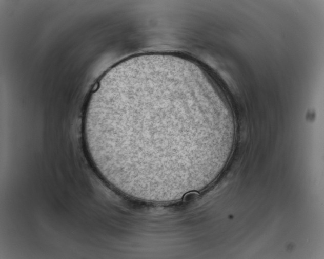 X0000101661459200808071009