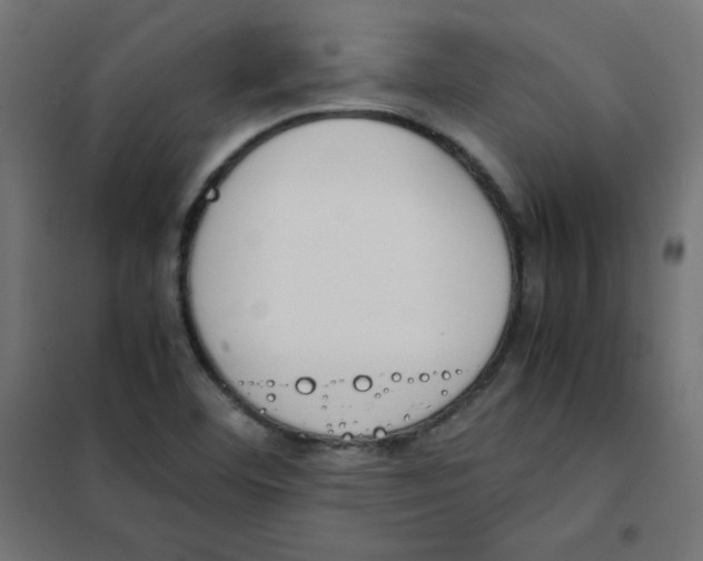 X0000101661460200808071009