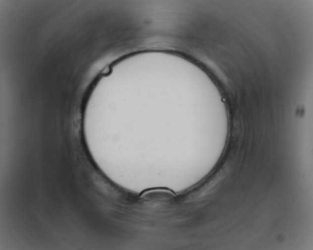 X0000101661461200808071009