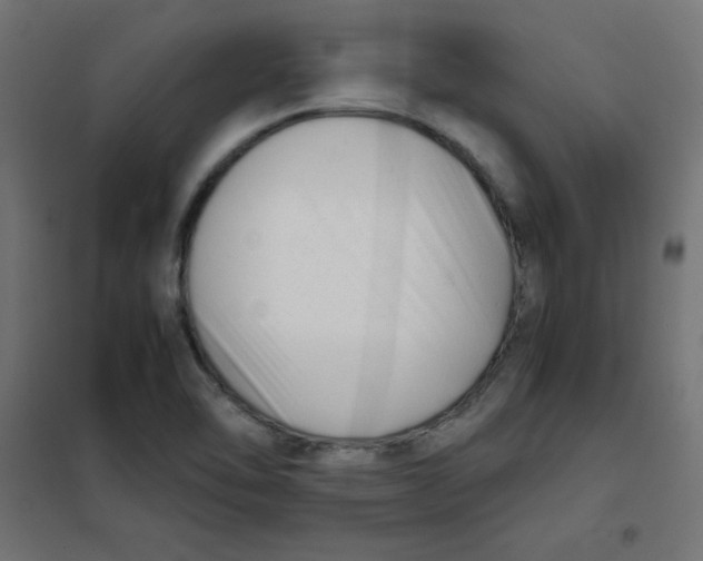 X0000101661462200808071009