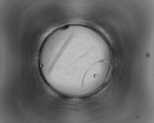 X0000101661463200808071009