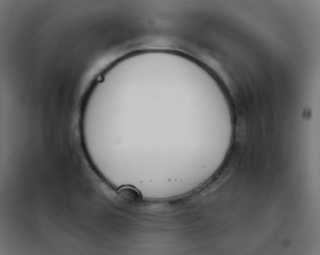 X0000101661464200808071009