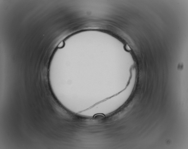 X0000101661465200808071009