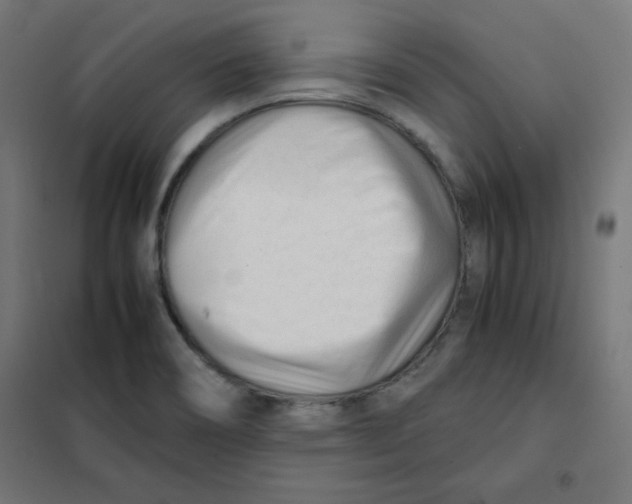 X0000101661466200808071009