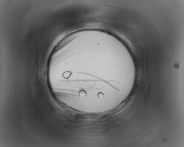 X0000101661467200808071009