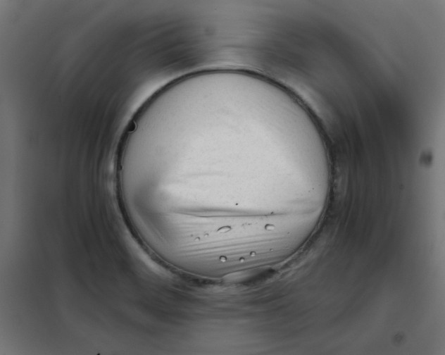 X0000101661468200808071009