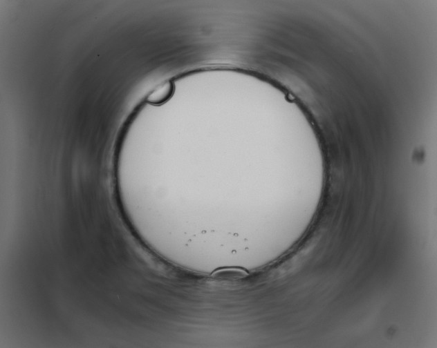 X0000101661469200808071009