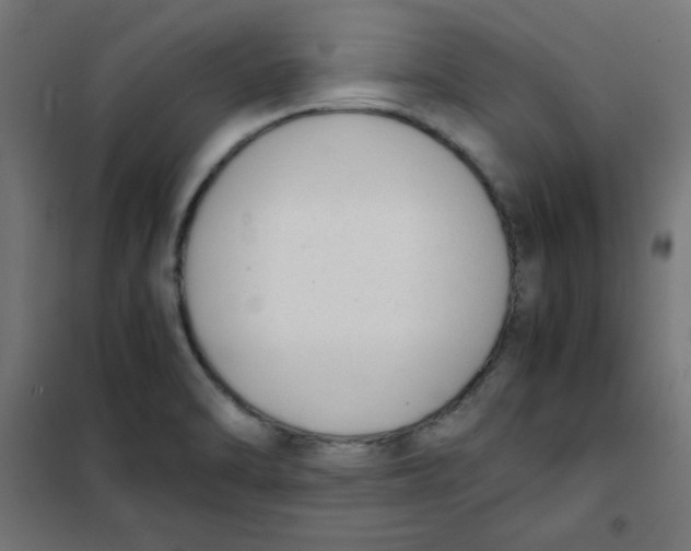 X0000101661470200808071009