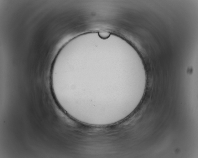 X0000101661471200808071009