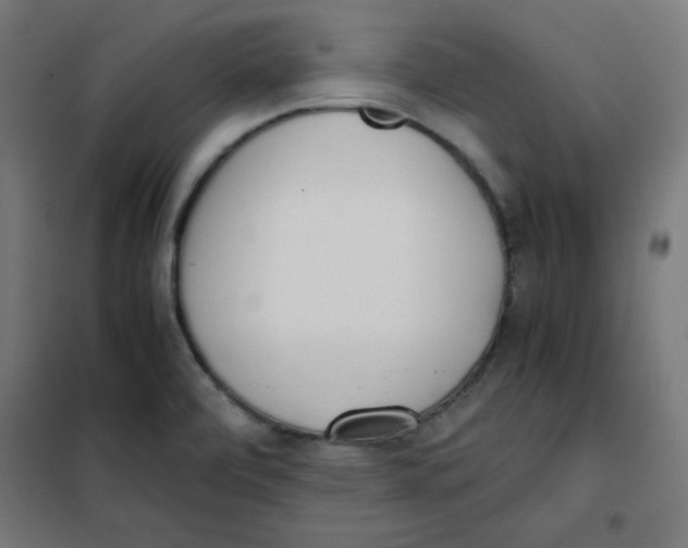 X0000101661472200808071009