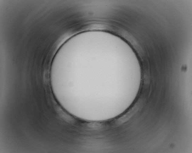 X0000101661473200808071009