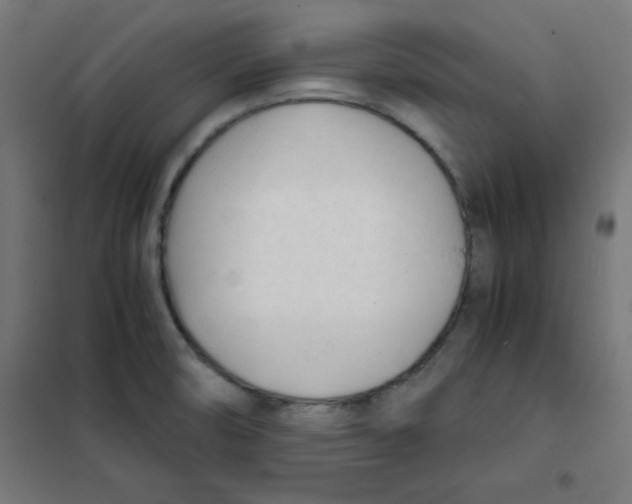 X0000101661474200808071009