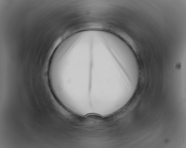 X0000101661475200808071009