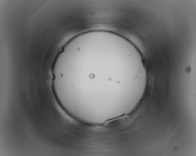 X0000101661476200808071009