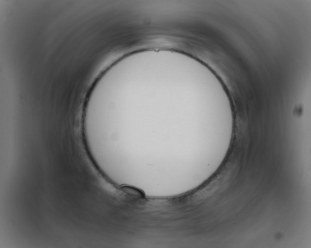 X0000101661477200808071009