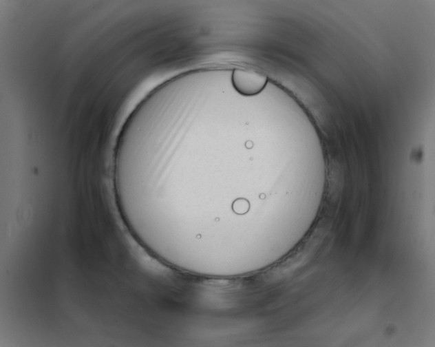 X0000101661478200808071009