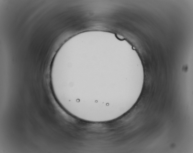 X0000101661479200808071009