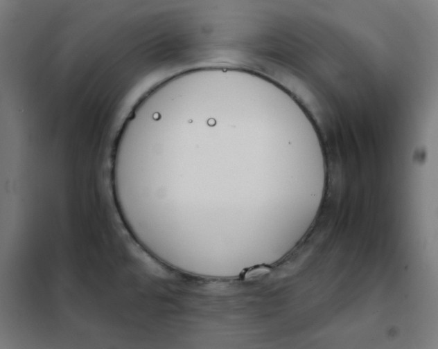 X0000101661480200808071009