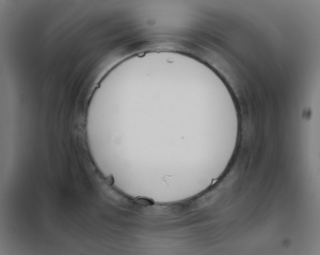 X0000101661481200808071009