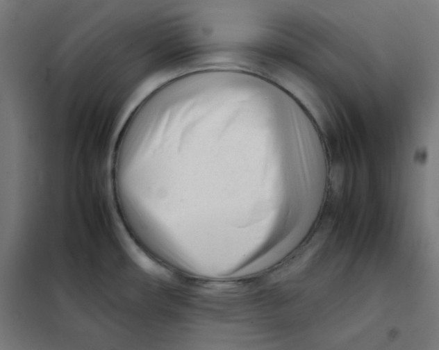 X0000101661482200808071009