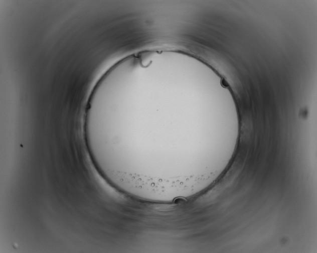 X0000101661484200808071009