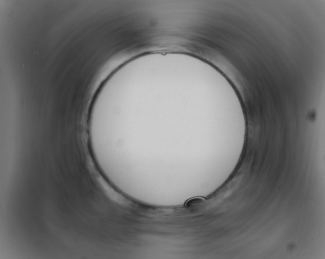 X0000101661485200808071009