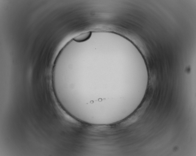 X0000101661486200808071009