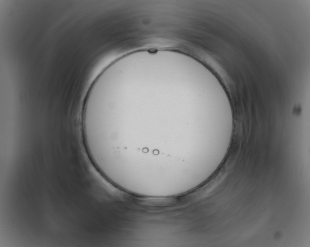 X0000101661487200808071009