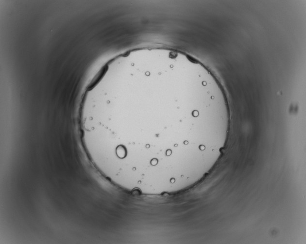 X0000101661488200808071009