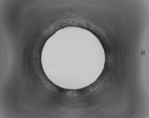 X0000101661489200808071008