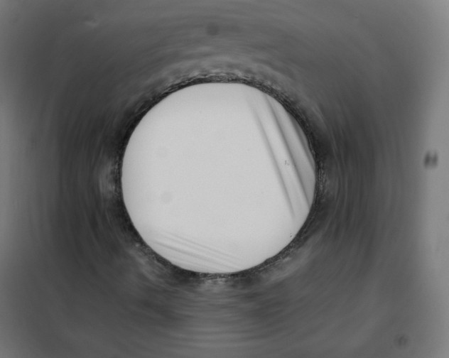 X0000101661490200808071008