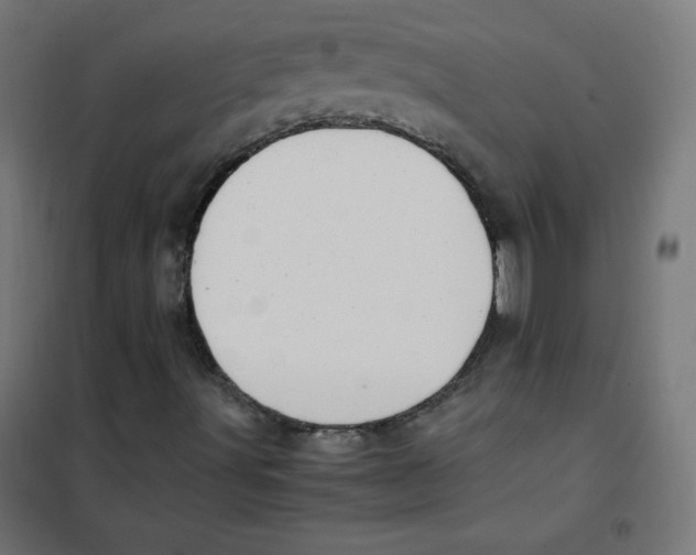 X0000101661491200808071008