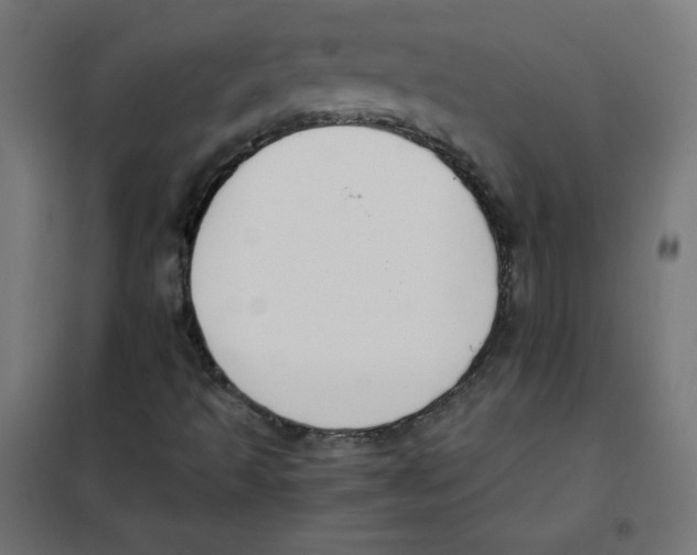 X0000101661493200808071008