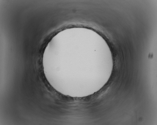 X0000101661494200808071008