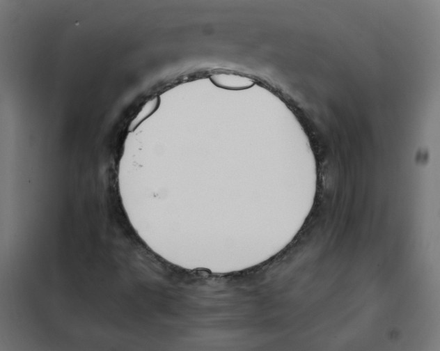 X0000101661495200808071008