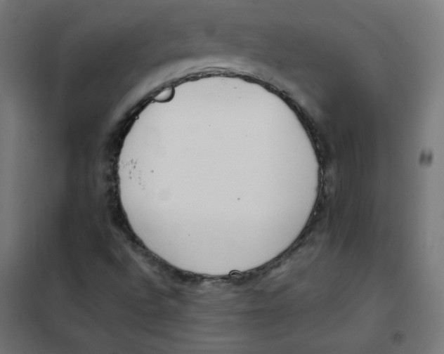 X0000101661496200808071008