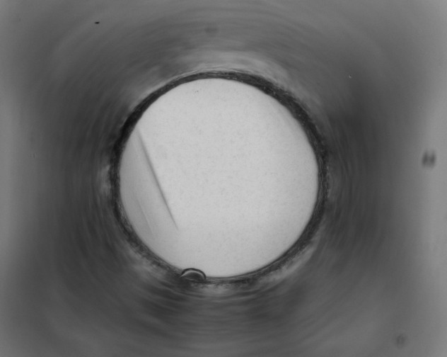 X0000101661497200808071008