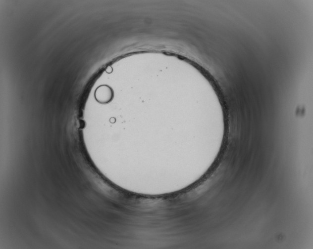 X0000101661498200808071008