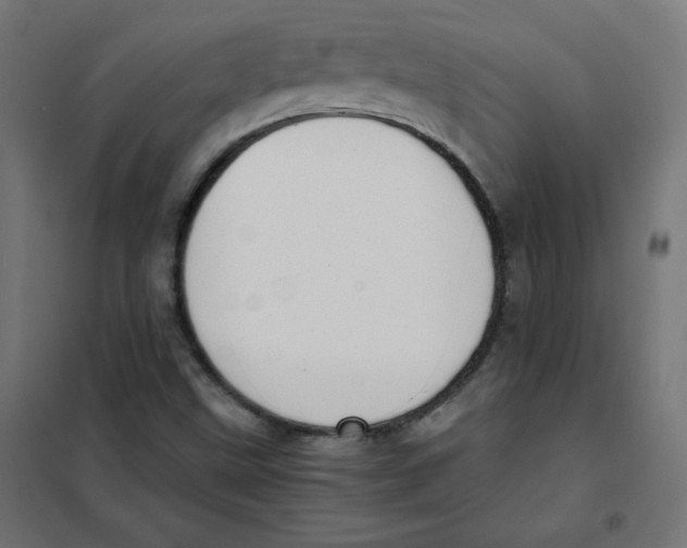 X0000101661499200808071008