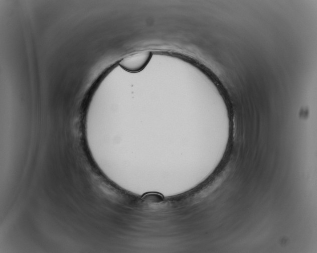 X0000101661501200808071008