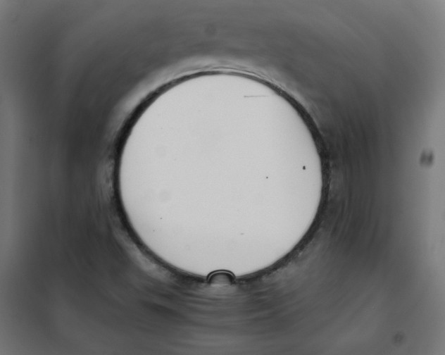 X0000101661503200808071009