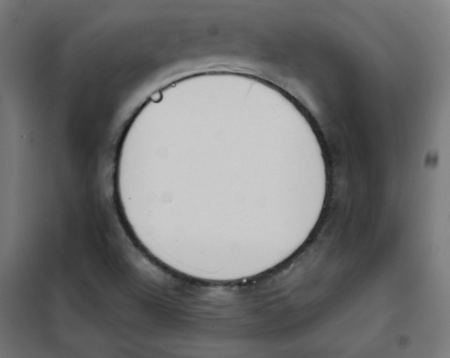 X0000101661504200808071009