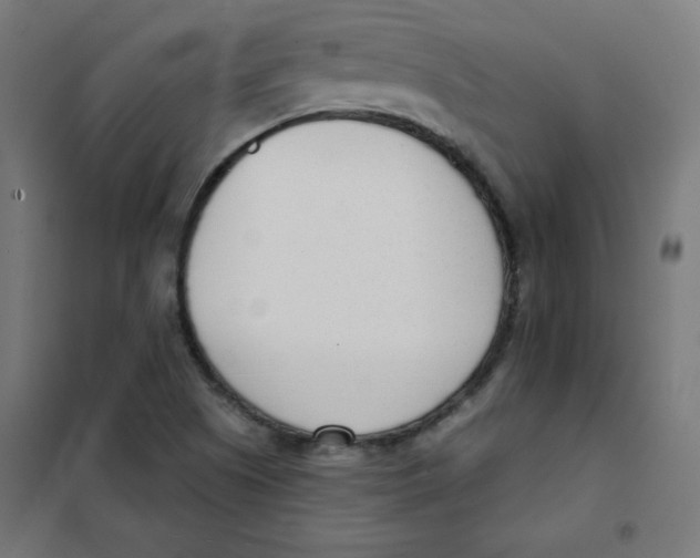 X0000101661505200808071009