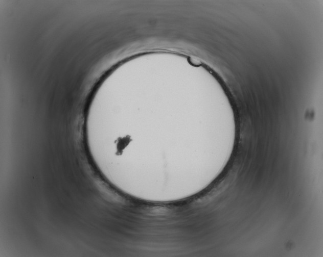 X0000101661507200808071009