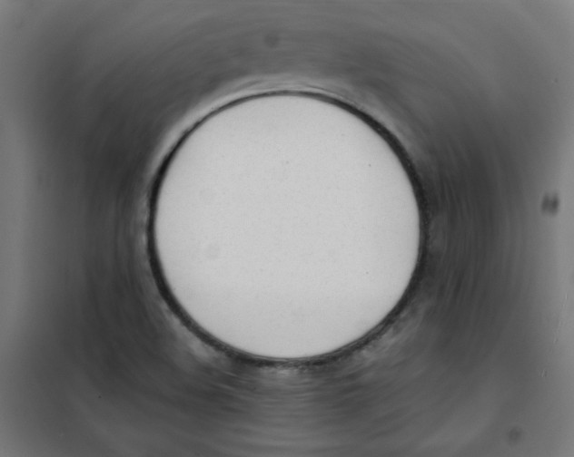 X0000101661508200808071009