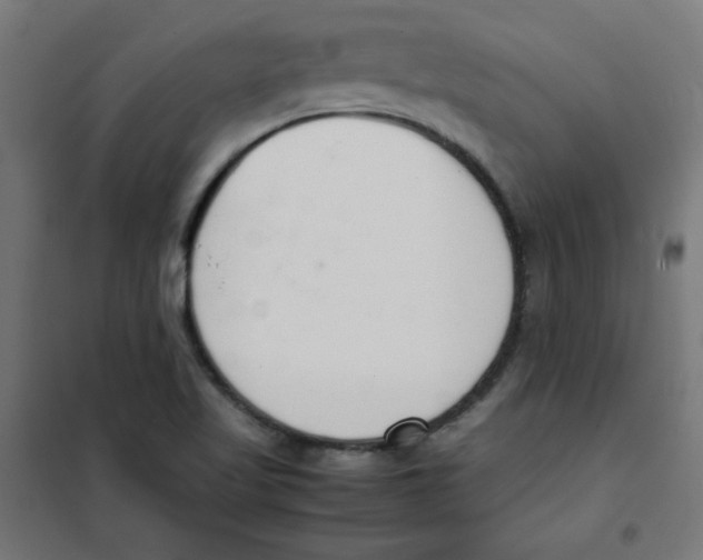 X0000101661509200808071009