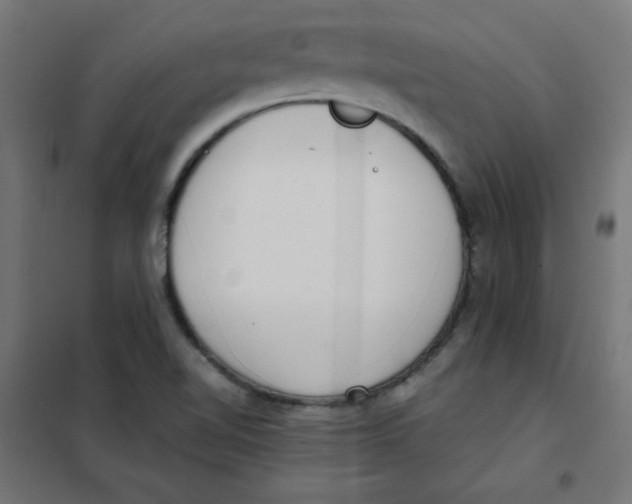 X0000101661510200808071009