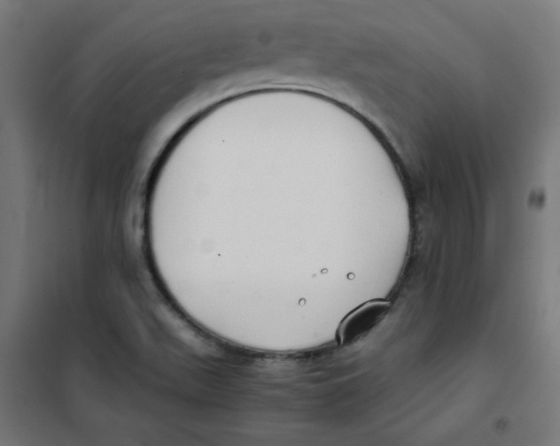 X0000101661511200808071009