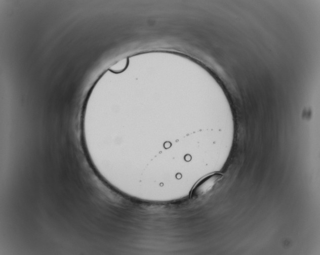 X0000101661512200808071009